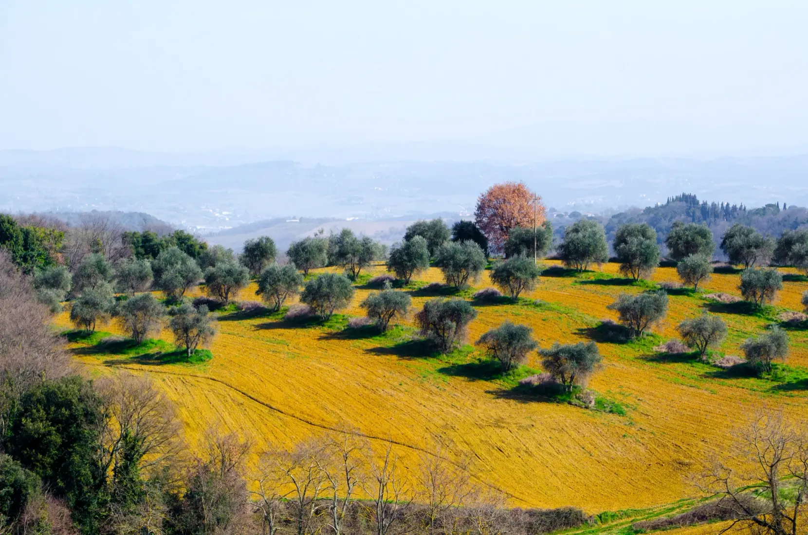 Paysage Provence